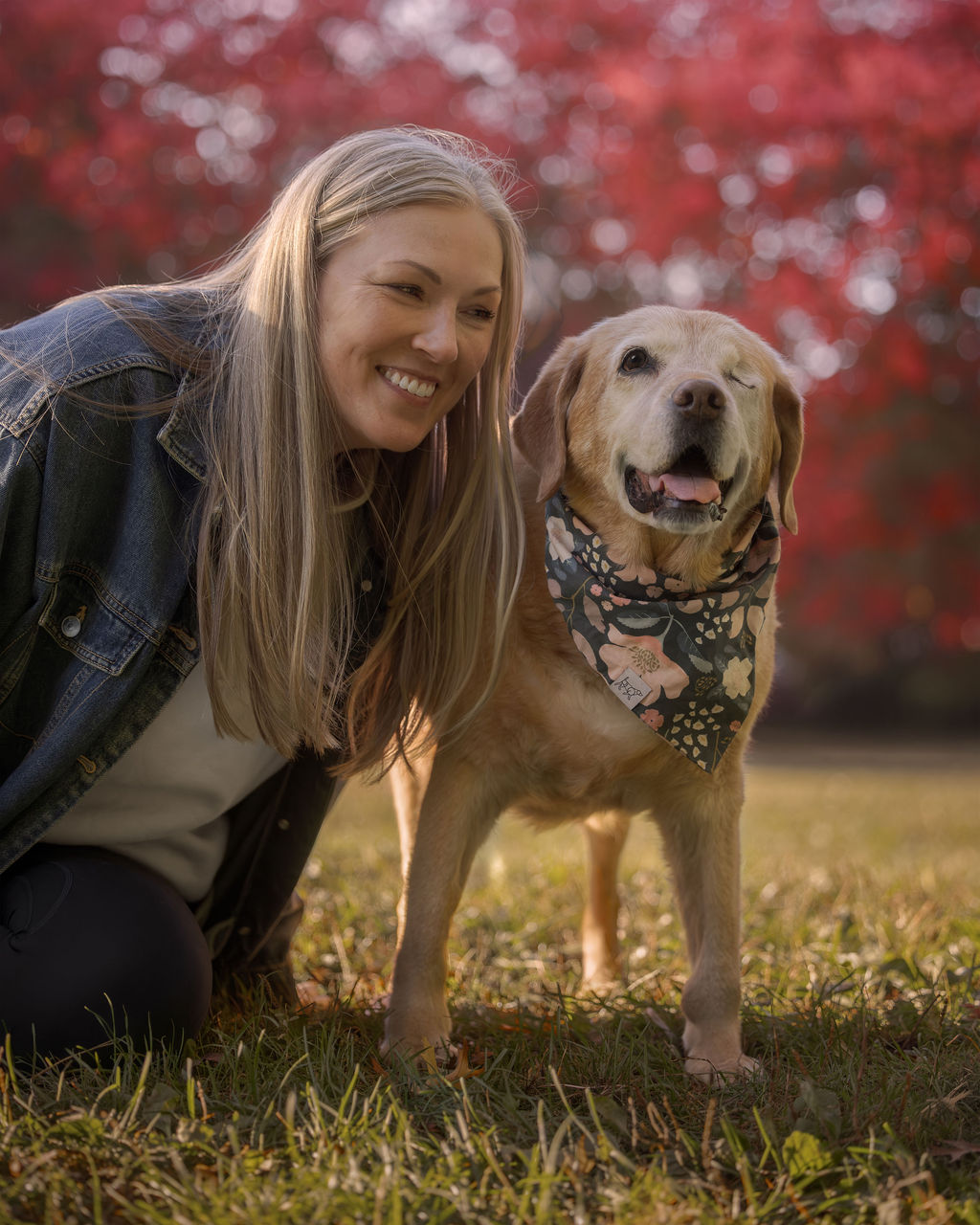 Happy dog with owner in autumn foliage